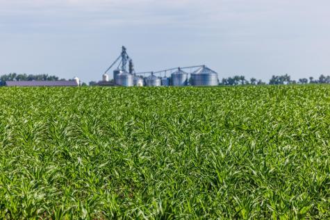 Tbd Highway 32 Enderlin ND 58027