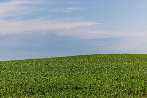Tbd Highway 32 Enderlin ND 58027