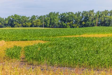 Tbd Highway 32 Enderlin ND 58027