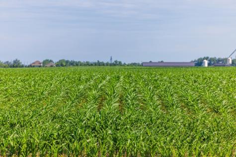 Tbd Highway 32 Enderlin ND 58027