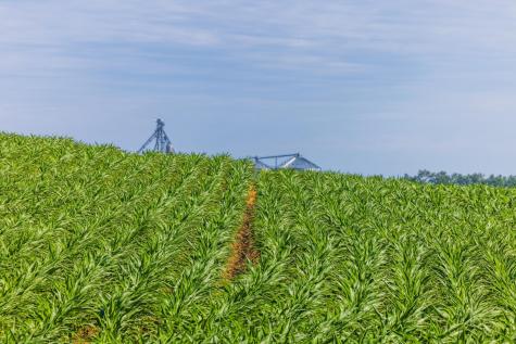 Tbd Highway 32 Enderlin ND 58027