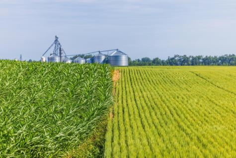 Tbd Highway 32 Enderlin ND 58027