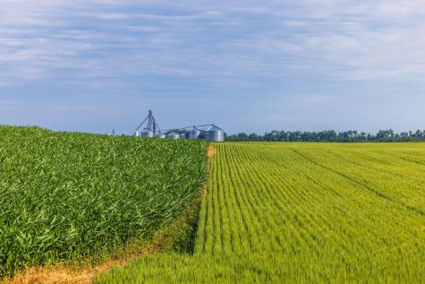 Tbd Highway 32 Enderlin ND 58027