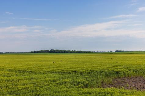 Tbd Highway 32 Enderlin ND 58027