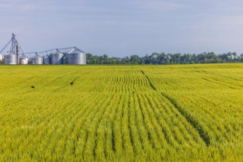 Tbd Highway 32 Enderlin ND 58027