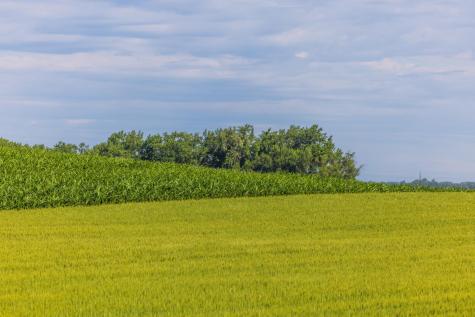 Tbd Highway 32 Enderlin ND 58027