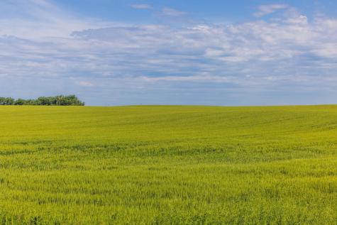 Tbd Highway 32 Enderlin ND 58027