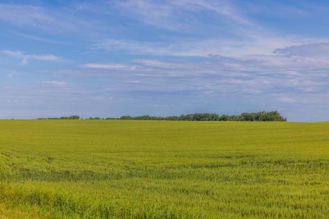 Tbd Highway 32 Enderlin ND 58027