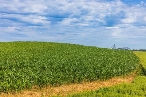 Tbd Highway 32 Enderlin ND 58027