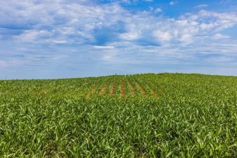Tbd Highway 32 Enderlin ND 58027
