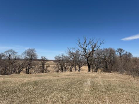 Tbd 255th Street Fergus Falls MN 56537