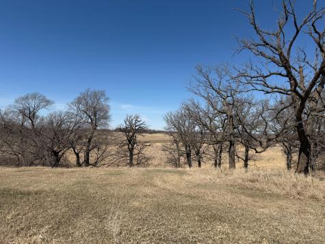Tbd 255th Street Fergus Falls MN 56537
