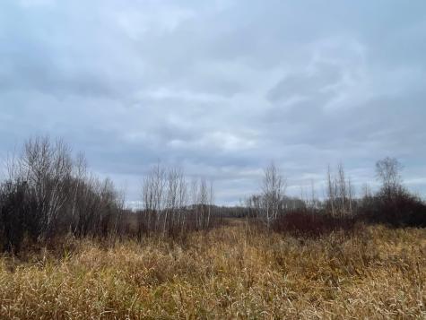 Tbd Olson Road Hinckley MN 55037