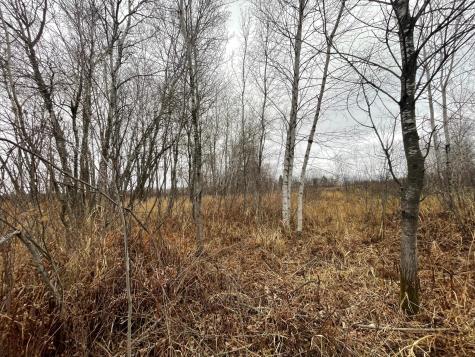 Tbd Olson Road Hinckley MN 55037