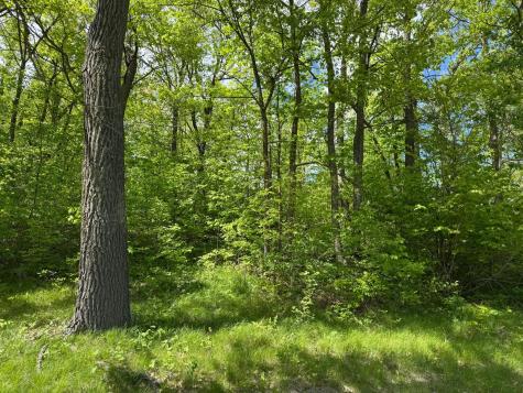 0 Captive Lake Road Kathio Twp MN 56450