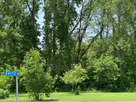 29172 Biehn Drive Madison Lake MN 56063