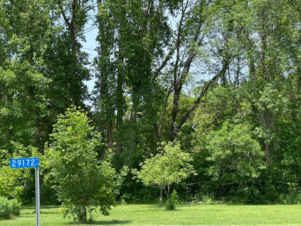 29172 Biehn Drive Madison Lake MN 56063
