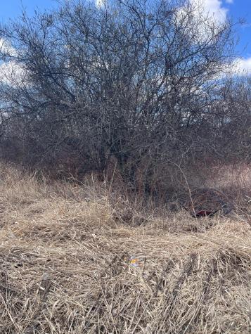 87XX Arbor Lane Mountain Iron MN 55768