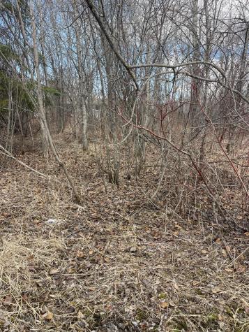 87XX Arbor Lane Mountain Iron MN 55768