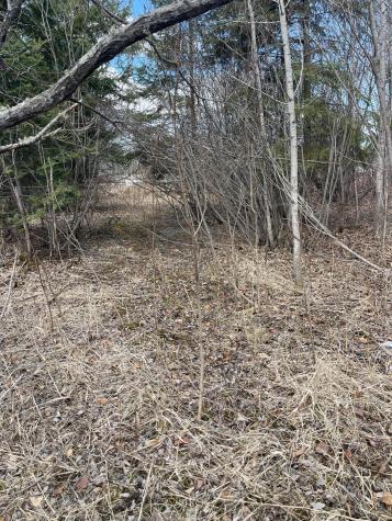 87XX Arbor Lane Mountain Iron MN 55768