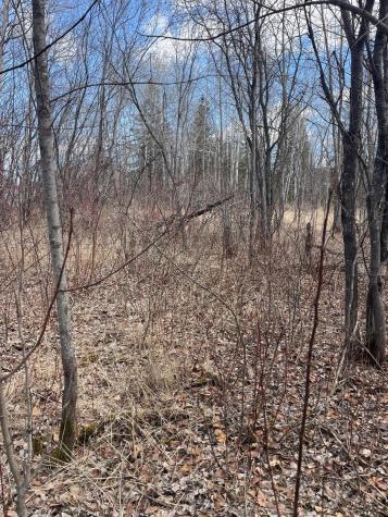 87XX Arbor Lane Mountain Iron MN 55768