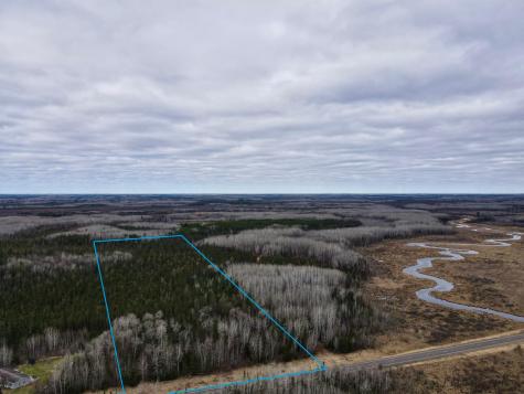 Tbd Highway 65 Nashwauk MN 55769