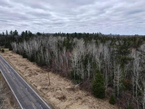 Tbd Highway 65 Nashwauk MN 55769