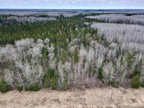 Tbd Highway 65 Nashwauk MN 55769