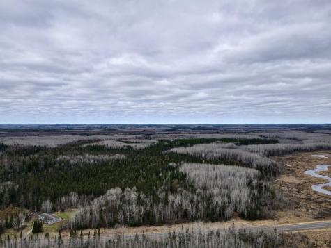 Tbd Highway 65 Nashwauk MN 55769