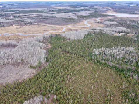 Tbd Highway 65 Nashwauk MN 55769