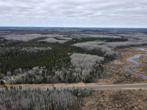 Tbd Highway 65 Nashwauk MN 55769