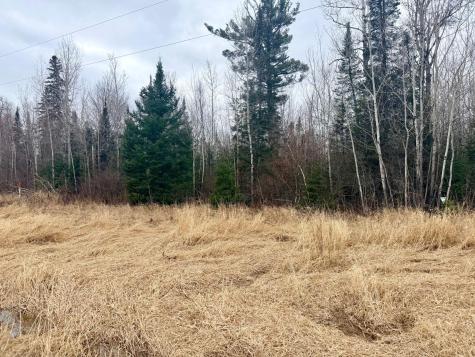 Tbd Highway 65 Nashwauk MN 55769