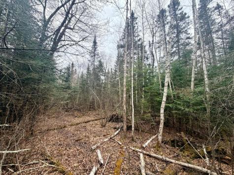 Tbd Highway 65 Nashwauk MN 55769