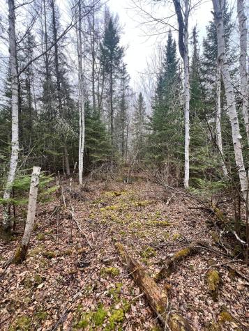 Tbd Highway 65 Nashwauk MN 55769