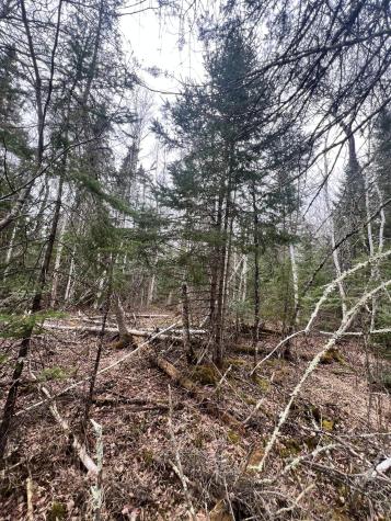 Tbd Highway 65 Nashwauk MN 55769