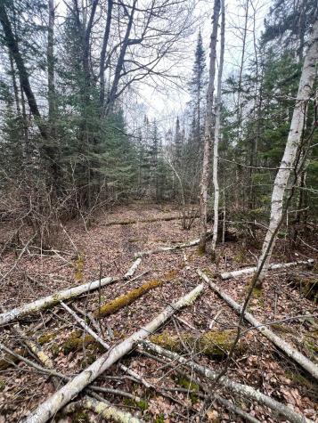 Tbd Highway 65 Nashwauk MN 55769