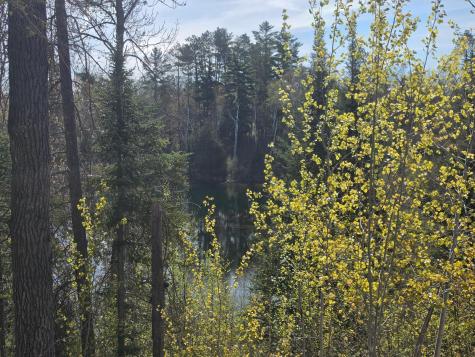 Tbd S Thunder Lake Drive NE Remer MN 56672