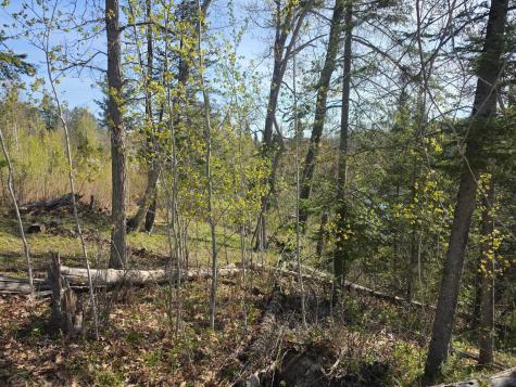 Tbd S Thunder Lake Drive NE Remer MN 56672
