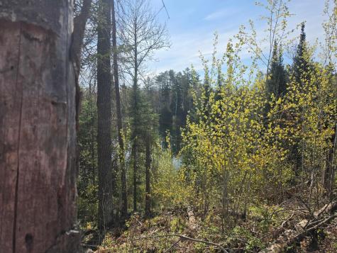 Tbd S Thunder Lake Drive NE Remer MN 56672
