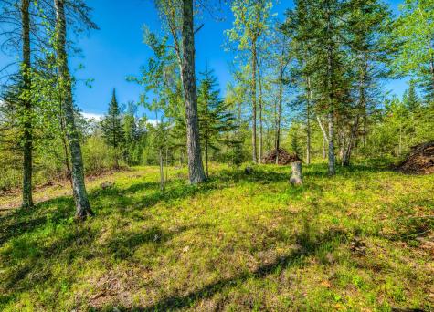 Tbd S Thunder Lake Drive NE Remer MN 56672