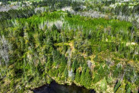Tbd S Thunder Lake Drive NE Remer MN 56672