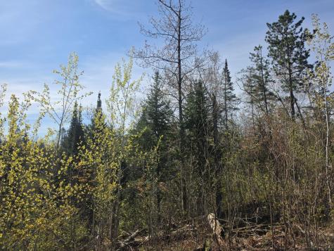 Tbd S Thunder Lake Drive NE Remer MN 56672