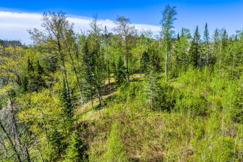 Tbd S Thunder Lake Drive NE Remer MN 56672