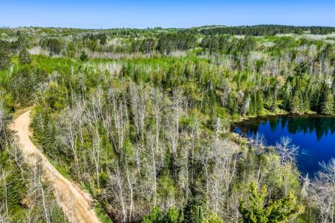 Tbd S Thunder Lake Drive NE Remer MN 56672