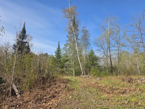 Tbd S Thunder Lake Drive NE Remer MN 56672