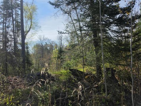 Tbd S Thunder Lake Drive NE Remer MN 56672
