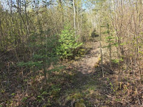 Tbd S Thunder Lake Drive NE Remer MN 56672