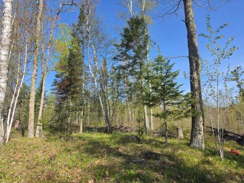 Tbd S Thunder Lake Drive NE Remer MN 56672