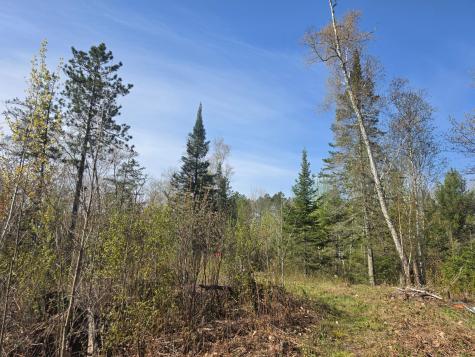 Tbd S Thunder Lake Drive NE Remer MN 56672