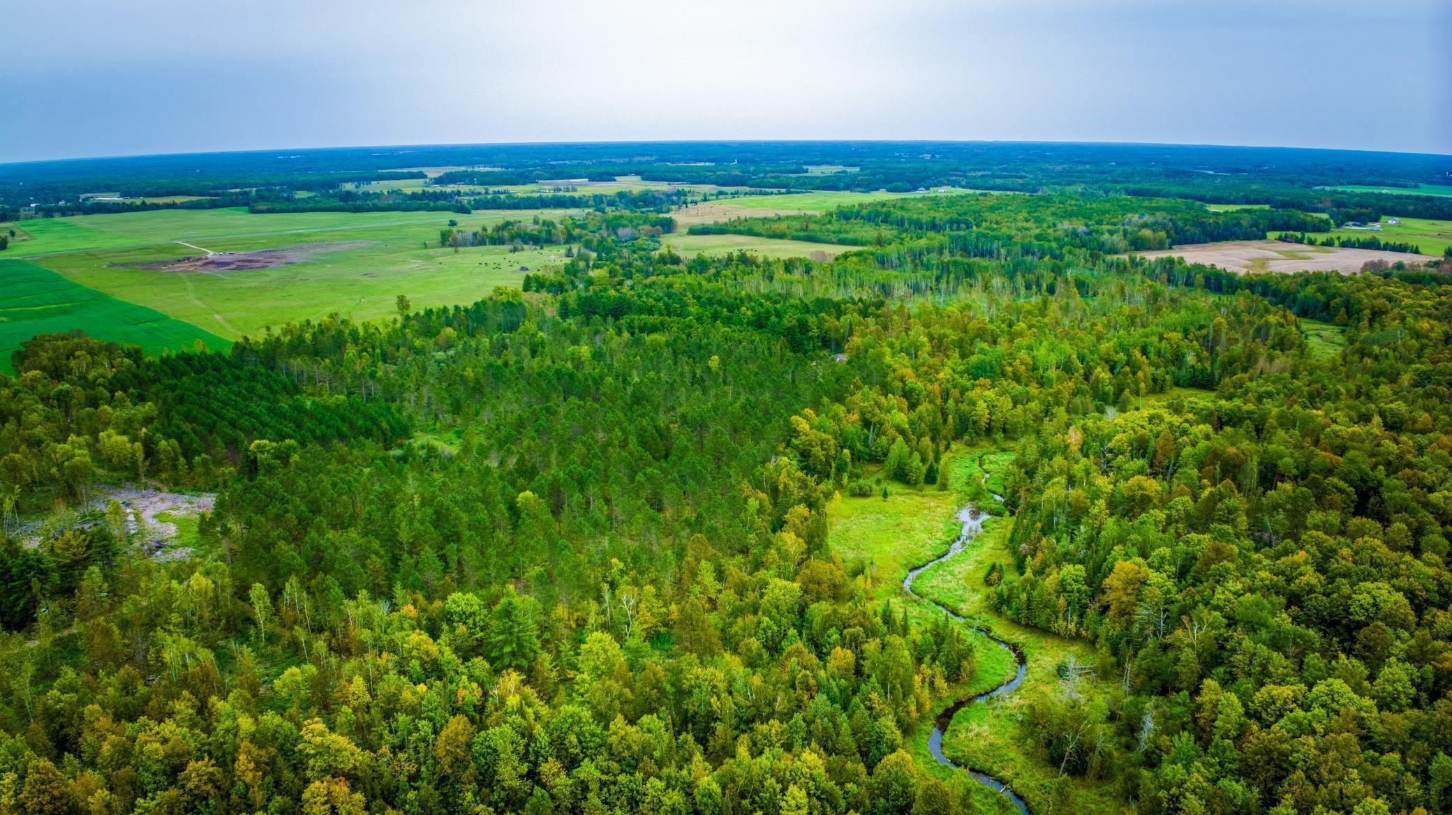 Lot 2 N Blackduck Lake Road NE Hines MN 56647